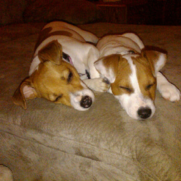 Meet your Posher, Aamie - Picture 6 of 8